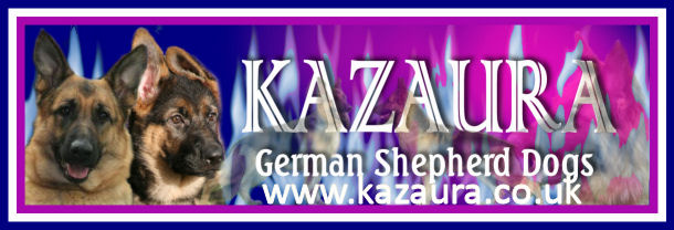 Kazaura German Shepherds & Shetland Sheepdogs